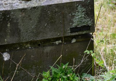 Petlery, Omnium, 2020