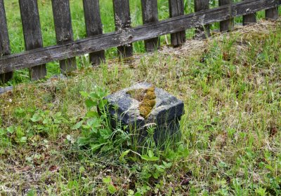 Petlery, Omnium, 2020