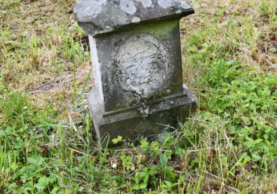 Petlery, Omnium, 2020