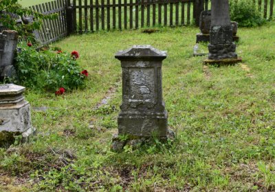 Petlery, Omnium, 2020