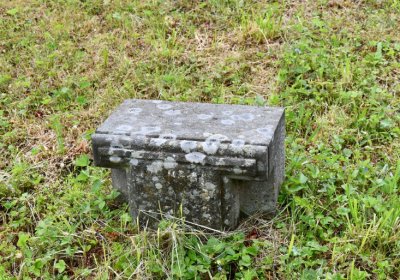 Petlery, Omnium, 2020