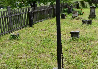 Petlery, Omnium, 2020