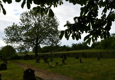 Petlery, Omnium, 2020