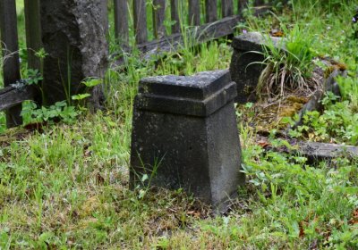 Petlery, Omnium, 2020