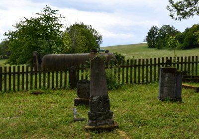 Petlery, Omnium, 2020