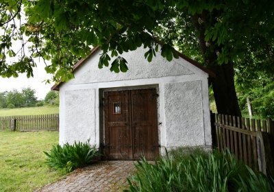 Petlery, Omnium, 2020