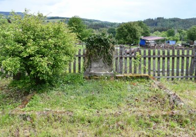 Petlery, Omnium, 2020