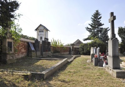 Sedláček Hugo, 2016