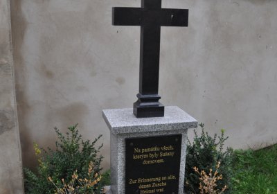 Sušany, Omnium, 2020