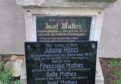 Sušany, Omnium, 2020