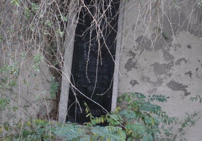 Sušany, Omnium, 2020