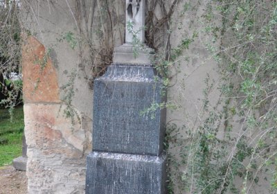 Sušany, Omnium, 2020