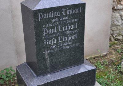 Sušany, Omnium, 2020