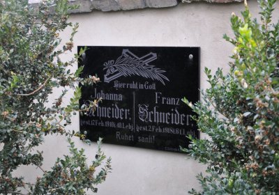 Sušany, Omnium, 2020