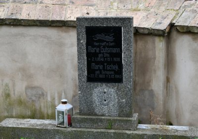 Sušany, Omnium, 2020