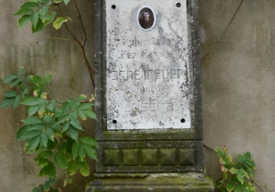 Sušany, Omnium, 2020