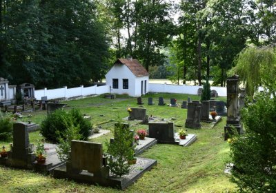 Petrohrad, Omnium, 2020