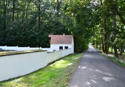 Petrohrad, Omnium, 2020