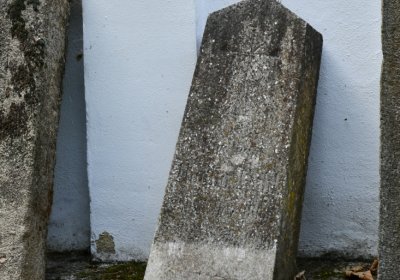 Petrohrad, Omnium, 2020