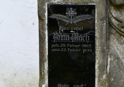 Petrohrad, Omnium, 2020