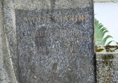 Petrohrad, Omnium, 2020