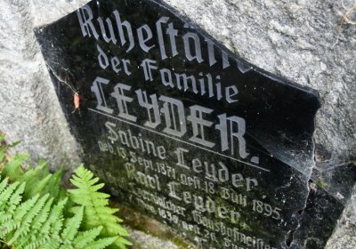 Petrohrad, Omnium, 2020