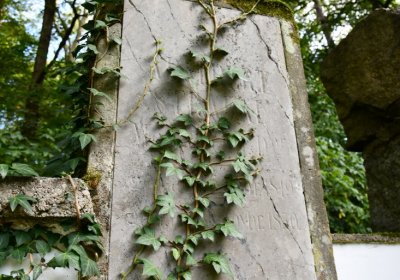 Petrohrad, Omnium, 2020