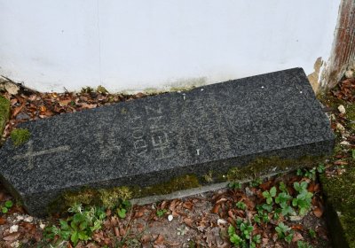 Petrohrad, Omnium, 2020