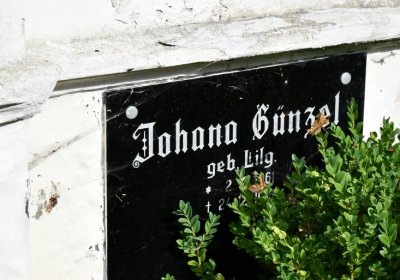 Petrohrad, Omnium, 2020