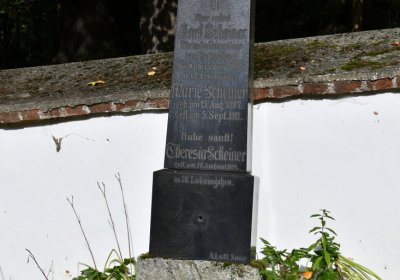 Petrohrad, Omnium, 2020