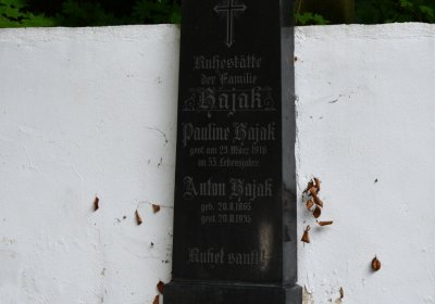 Petrohrad, Omnium, 2020