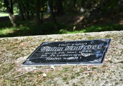 Petrohrad, Omnium, 2020