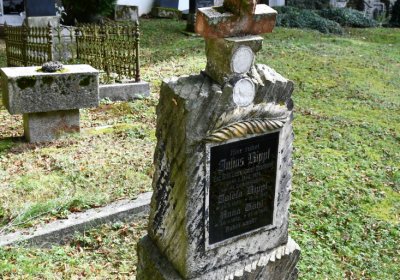 Petrohrad, Omnium, 2020