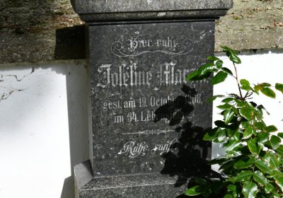 Petrohrad, Omnium, 2020