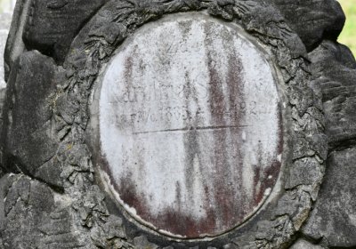 Petrohrad, Omnium, 2020