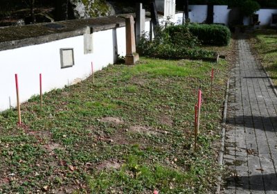 Petrohrad, Omnium, 2020