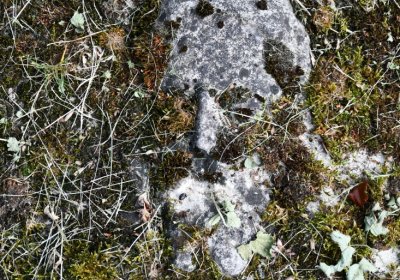 Petrohrad, Omnium, 2020