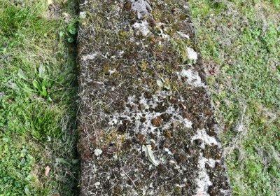 Petrohrad, Omnium, 2020