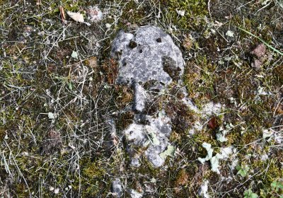 Petrohrad, Omnium, 2020