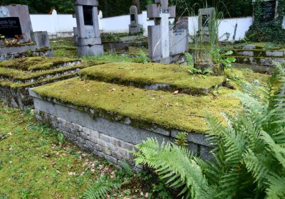 Petrohrad, Omnium, 2020