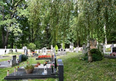 Petrohrad, Omnium, 2020