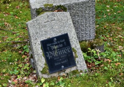 Petrohrad, Omnium, 2020