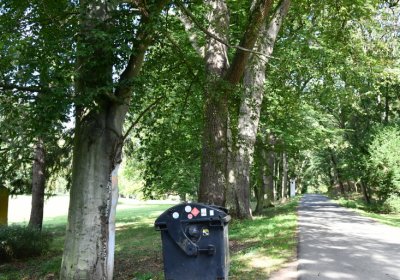 Petrohrad, Omnium, 2020