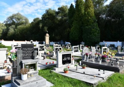 Černčice u Petrohradu, Omnium, 2020