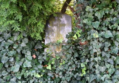 Černčice u Petrohradu, Omnium, 2020