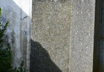 Černčice u Petrohradu, Omnium, 2020