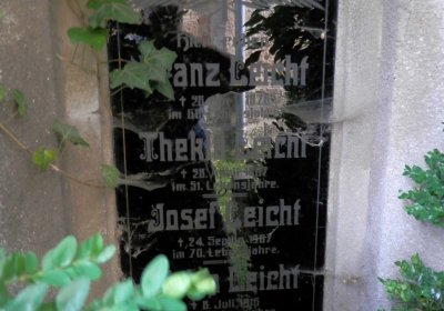 Lašťovka Milan, 2016