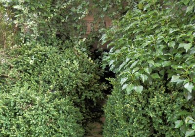 Lašťovka Milan, 2016