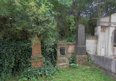 Lašťovka Milan, 2016