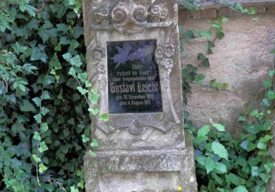 Lašťovka Milan, 2016